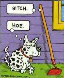 When Name Calling Isn't Swearing